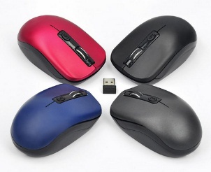 MOUSE-NIS-INAL-NS-MOW40-2-CHICO.jpg