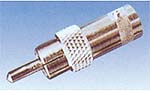 ADAP MACHO RCA - HEMBRA BNC A14 0069.jpg