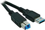 CABLE 301 CHICO.jpg